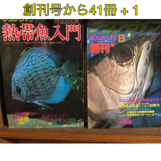 月刊アクアライフ」創刊号から41冊 希少 昭和版 - 雑誌