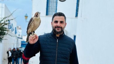 سافاس الهلال