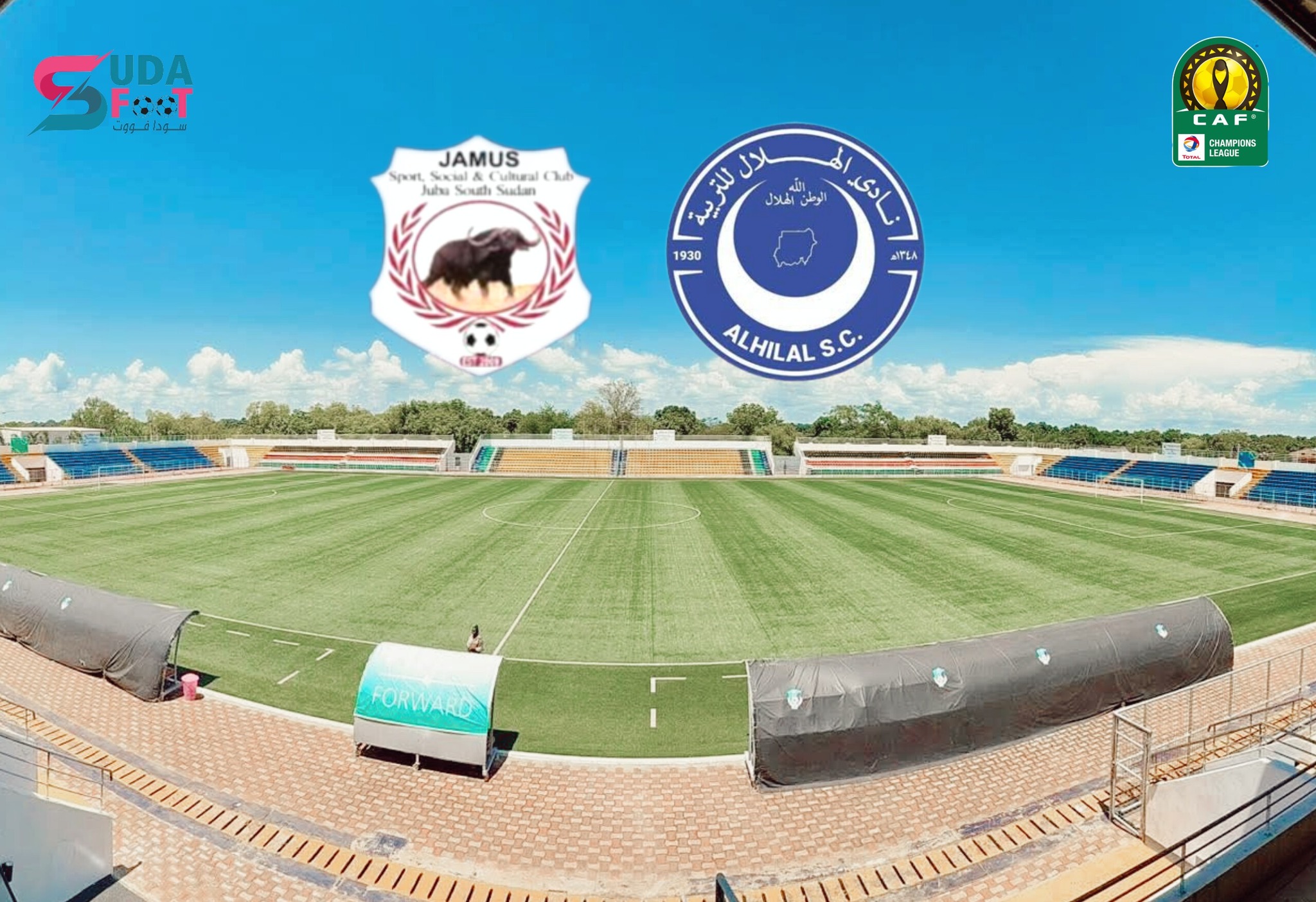 الهلال جاموس
