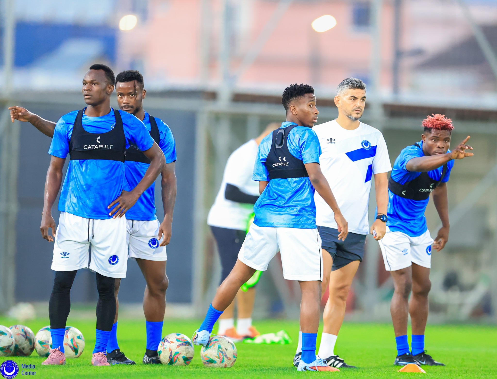 الهلال جاموس