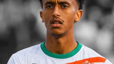 عامر السودان